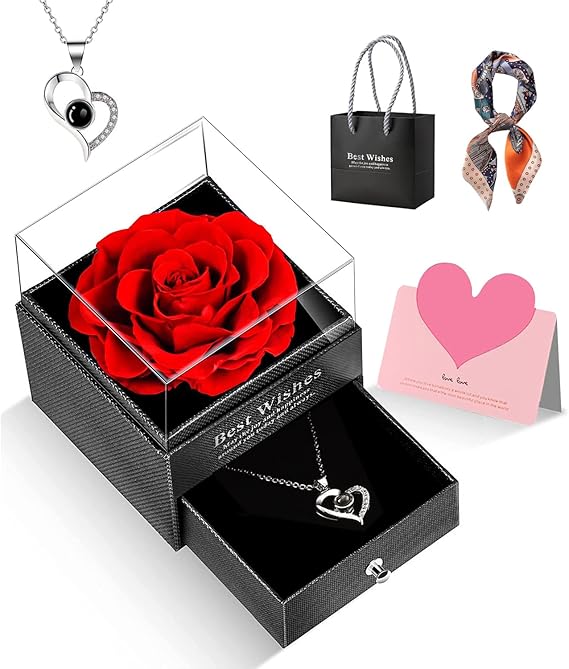 GOICC Rosa Eterna Stabilizzata Idee Regalo Donna, Mamma, Moglie, Rosa Eterna con Collana Regali per Lei - Rose Stabilizzate Valentino Regalo, Festa della Mamma, Natale, Anniversario (Rosso)